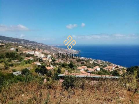 Terreno / Gaula, Santa Cruz- Ilha da Madeira