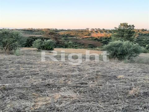 Plot of land in the Rio Maior area