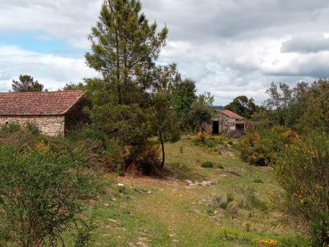 Property In Aldeia do Bispo
