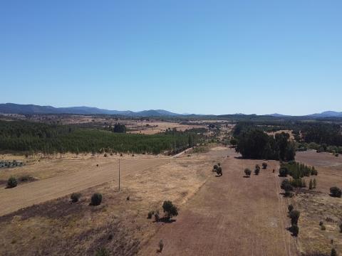 Rustic Land - Ribeiro - 2.35 ha. Penamacor