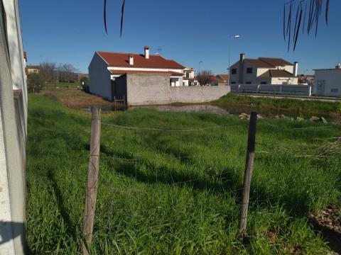 plot of land Lardosa, Castelo Branco.