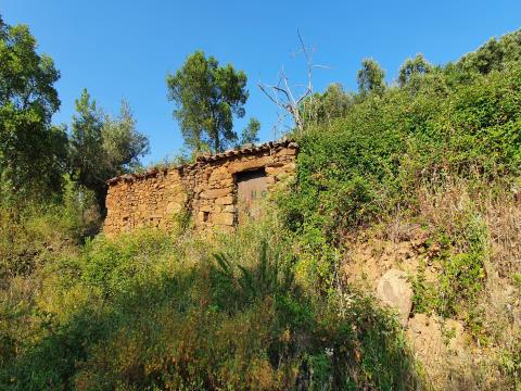 T0 farm for sale, in Juncal do Campo with 3720m2, ruin and two wells