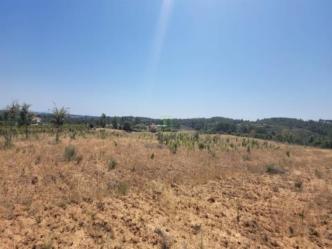 Rustic land with about 2.8ha - Tinalhas