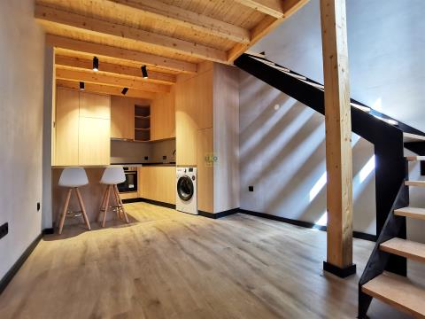 Studio 1 Chambre(s) Duplex