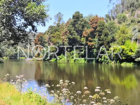 Land on the bank of the Inha River (1 km from the Douro River) - Lomba