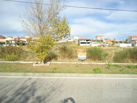 Lote moradia