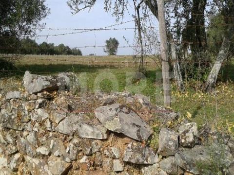 Terreno Alcáçovas, Évora, Viana do Alentejo