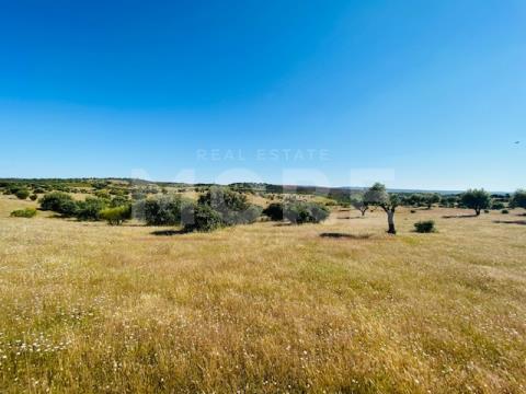 Terreno Rústico com 8,85 hectares