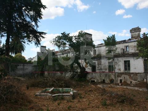 Palace >=10 Bedroom