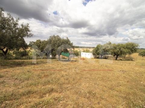 Country Estate