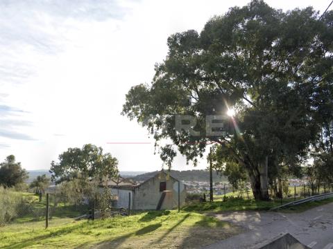 Terreno para construção- Arraiolos