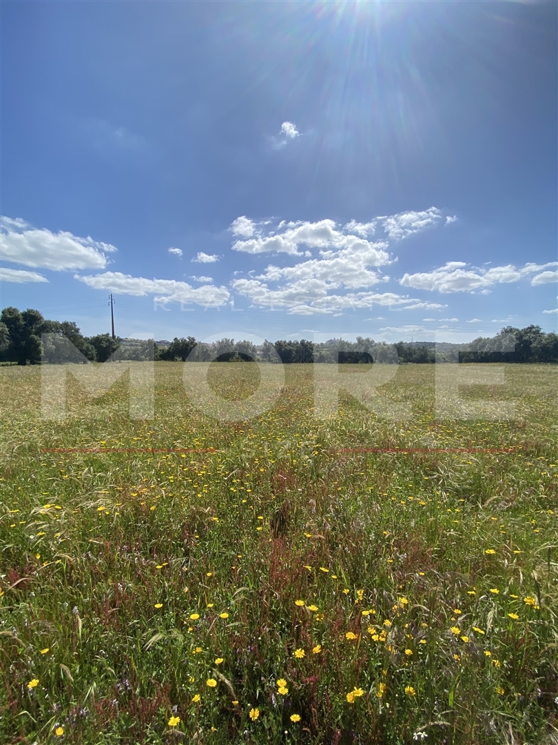 img_Terreno Rústico com 18.750 m² – Alcáçovas, Viana do Alentejo