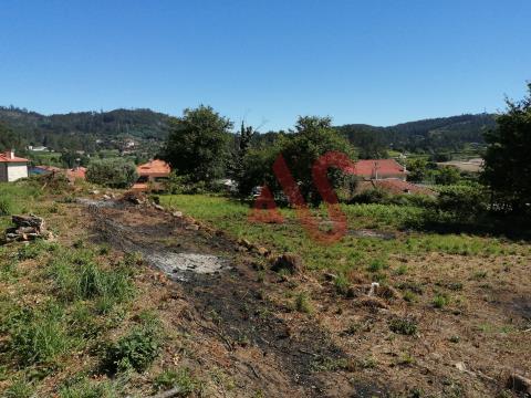 Building land with 3,500 m2 in Panque, Barcelos