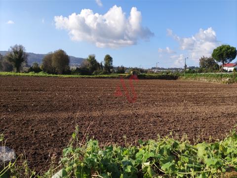 Landwirtschaftliche Flächen in Louro, V. N. Famalicão