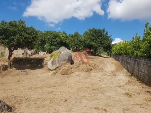 Kleiner Bauernhof zur Restaurierung mit 5313 m2 in Vizela