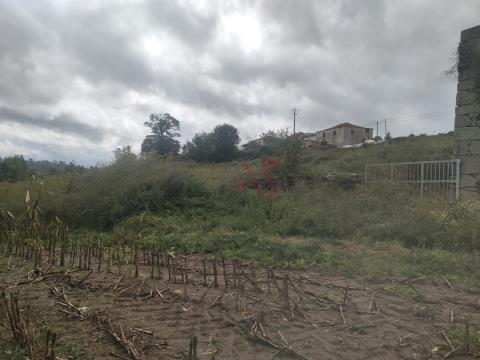 Farm with 33.206 m2 in Casais, Lousada