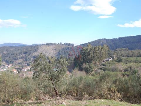 Grundstück mit 2.600m2 in S. Mamede de Negrelos, Santo Tirso