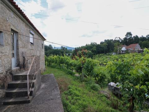 Farm with 6125 m2 in Pencelo, Guimarães