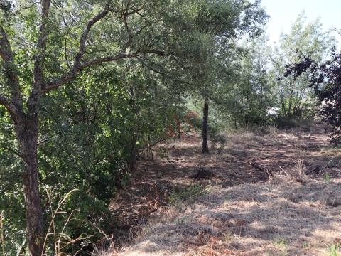 Land for construction with 1.154 m2 in Rebordões, Santo Tirso