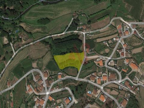 Rustic land with 5.225 m2 m São Jorge de Vizela, Felgueiras