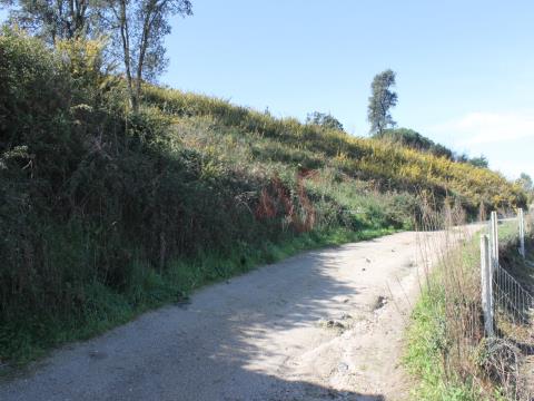 Rustic land with 22,000 m2 in Guardizela, Guimarães