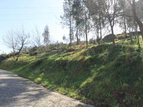 Terrain rustique de 22 000 m2 à Guardizela, Guimarães
