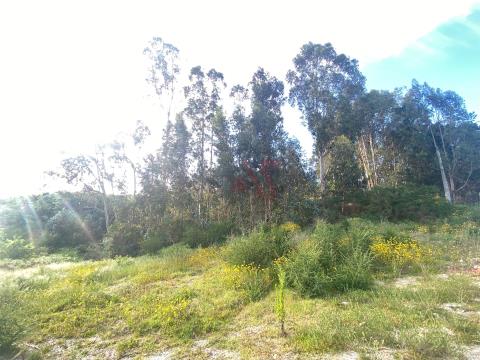 Building land with 581.01 m2 in Nogueira, Lousada