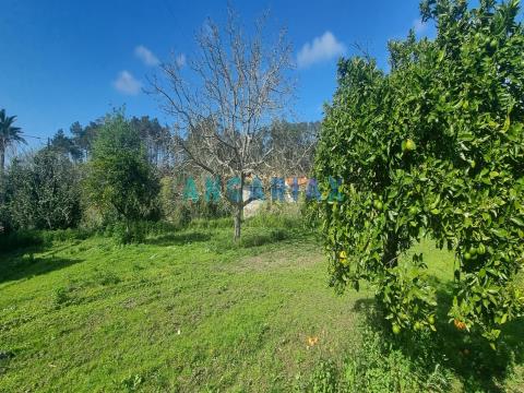 ANG1037 - Land for Sale in Riba de Aves, Ortigosa