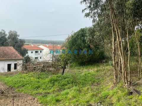 ANG1032 - Terreno para Venda, em Maiorga, Alcobaça