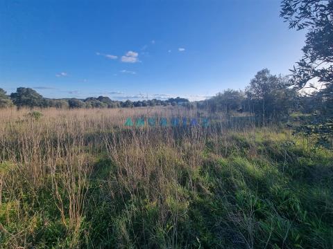 Rustic Land with 5440m2 for Sale in Tomar