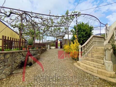 Small farm for sale in Lamaçães, Braga - Ideal for investment project