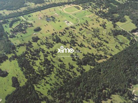 Terreno Misto