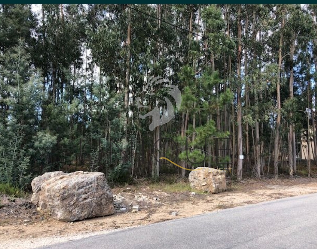Land for sale in Águeda, Portugal — €85,000