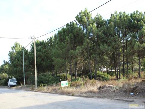 Magnificant plot of land in Vale da Telha near Aljezur