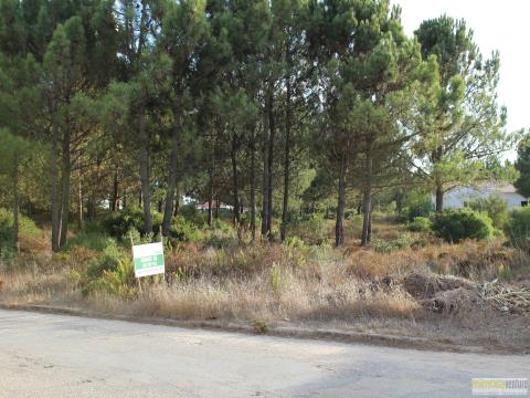 Magnificant plot of land in Vale da Telha near Aljezur