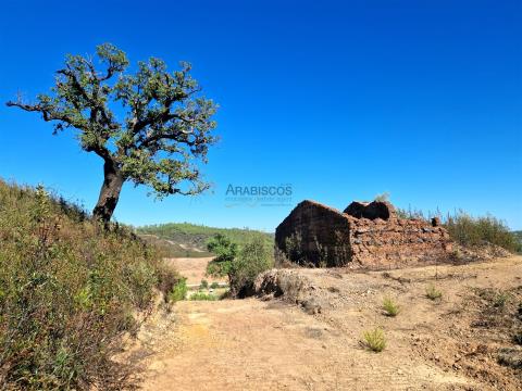 Terre mixte - Ruine - Portimão - Casas Velhas - Portimão - Algarve