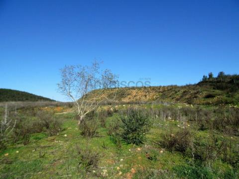 Terreno rustico - Due terrazze - Rasmalho - Portimão - Algarve