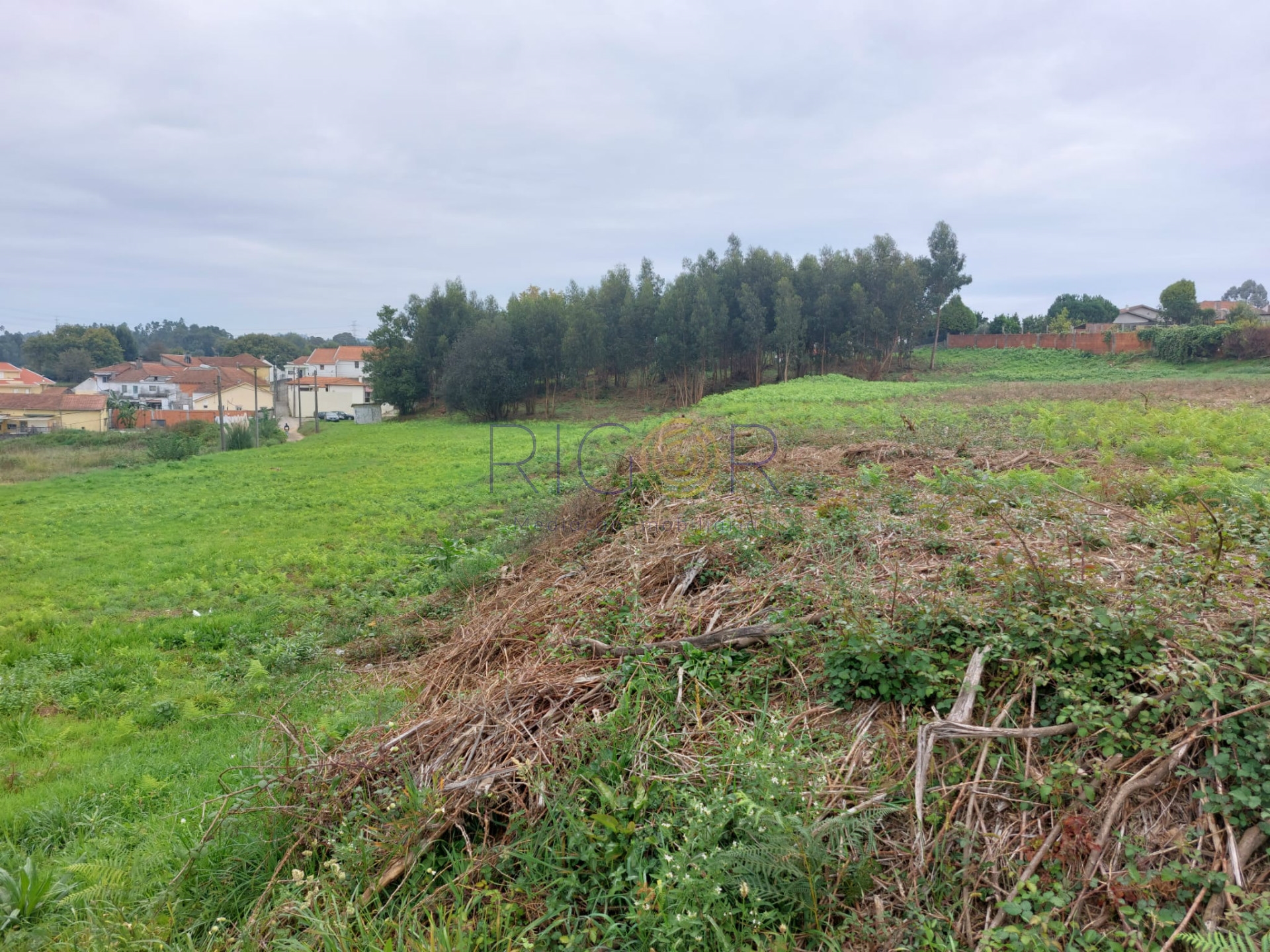 Terreno