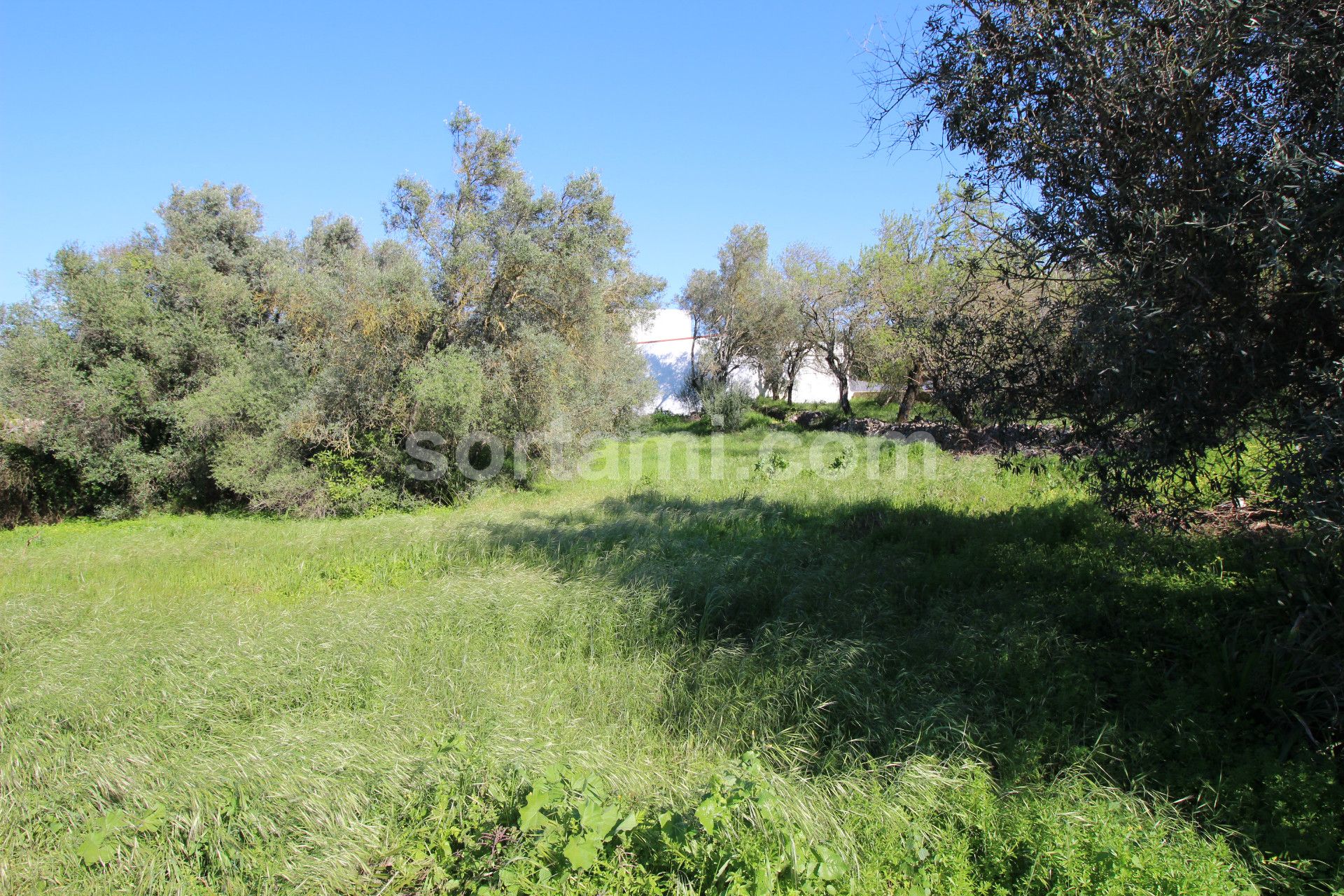 Land for sale in Loulé, Portugal — €350,000