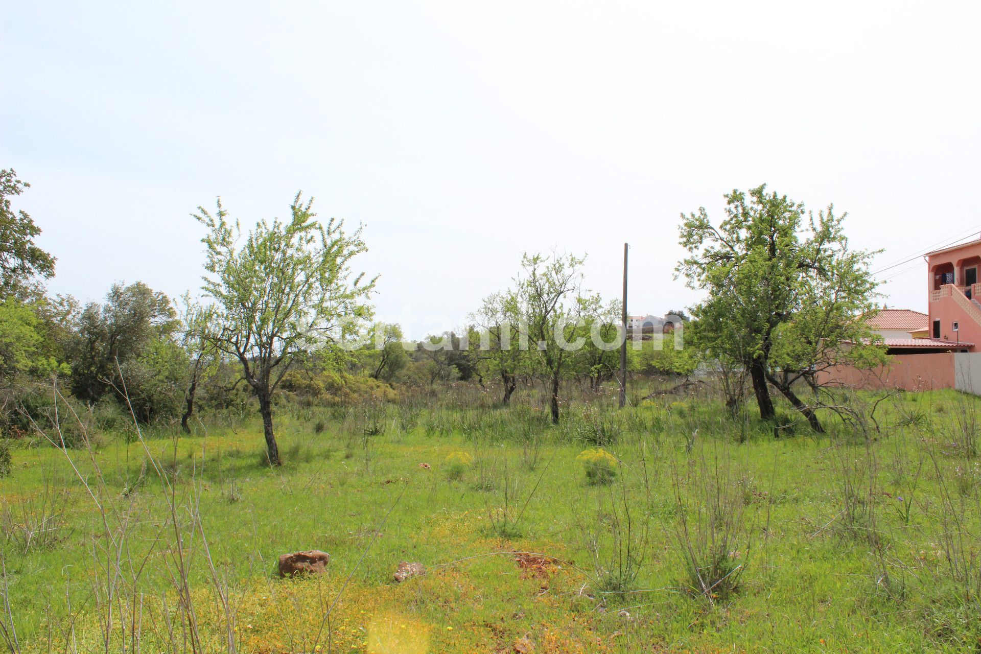 Land for sale in Silves, Portugal — €160,000