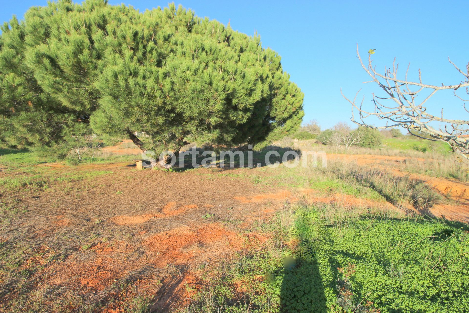 Land for sale in Silves, Portugal — €120,000