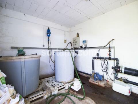 Sortami - Mediação Imobiliária, Lda.