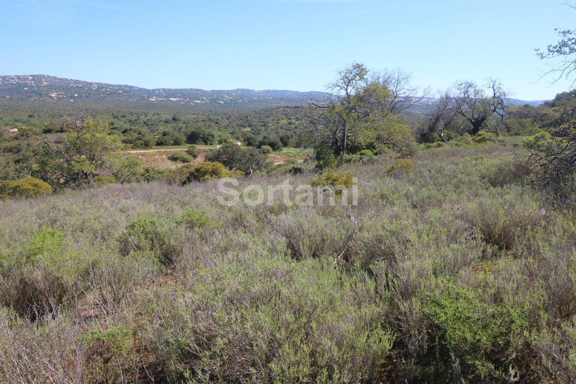 Land for sale in Loulé, Portugal — €850,000
