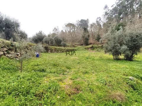 Terreno com viabilidade construtiva na Quinta da Silva