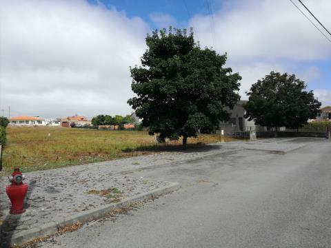 Grundstück in Aveiro, Oliveirinha