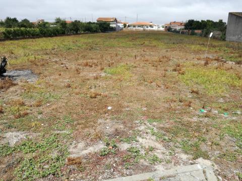 Allotment consisting of three lots (Lot 1, 3 and 4) With a total area of 3008m2.