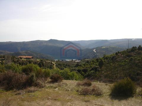 Terreno para construção, Cardal do Douro, Bemposta