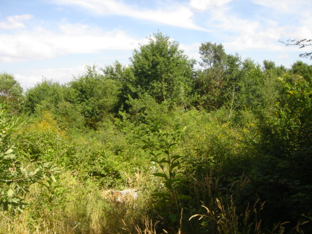 Land for sale in Vila Verde, Portugal — €275,000