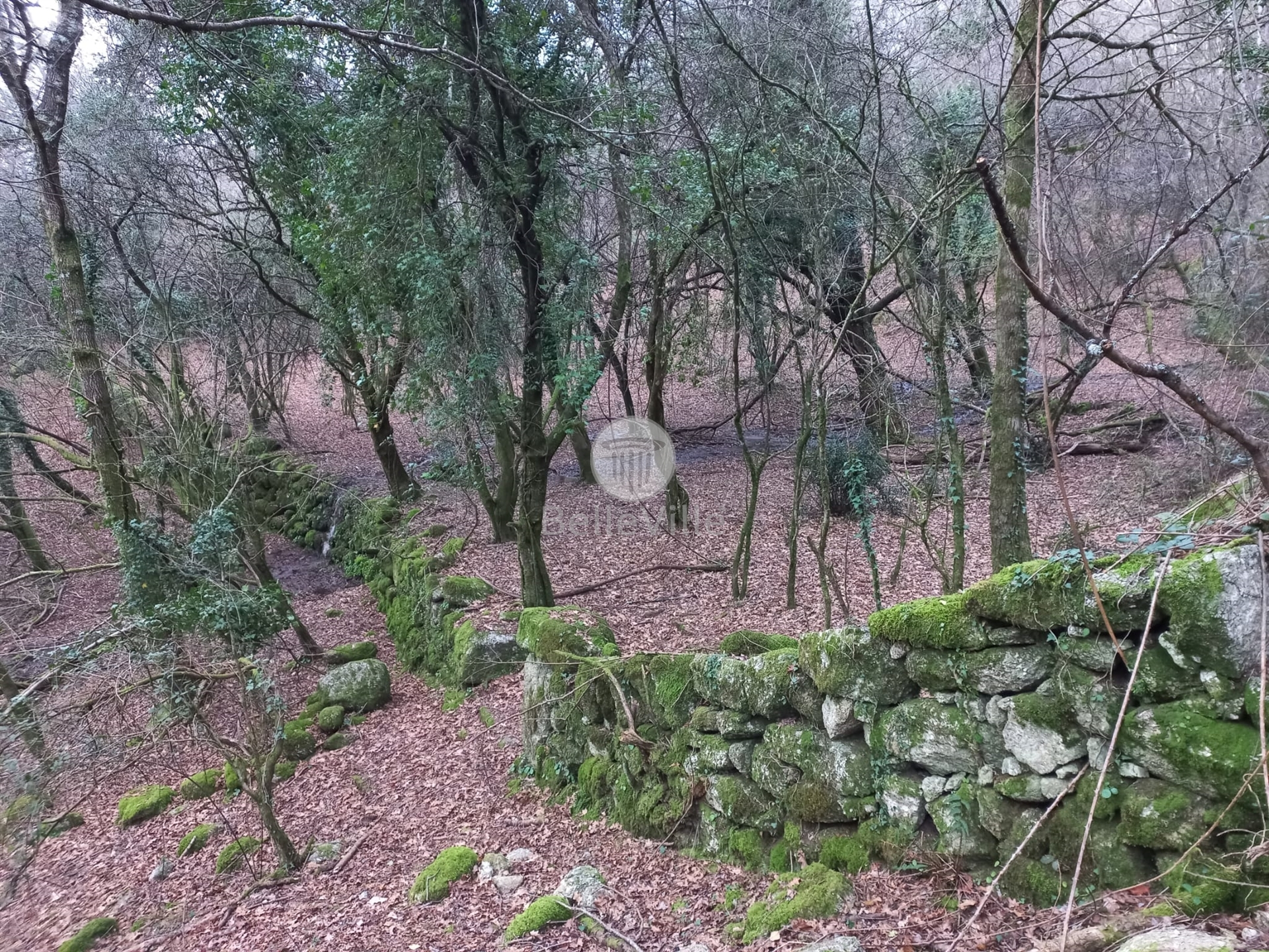 Land for sale in Terras de Bouro, Portugal — €198,000