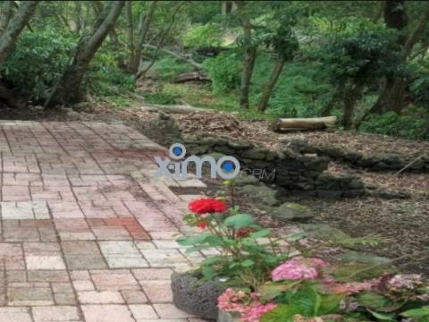 Abitazione 4+ camere